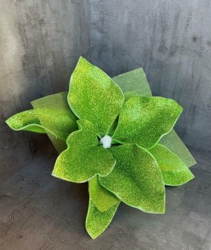 Новогодние цветы